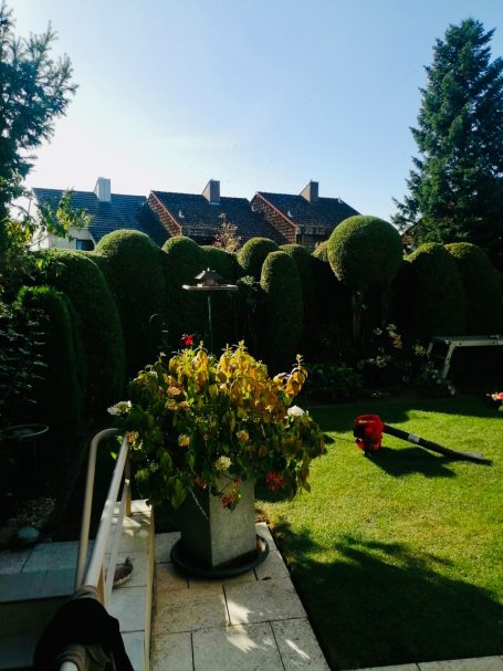 Gartengestaltung im Bodenseekreis in Kressbronn