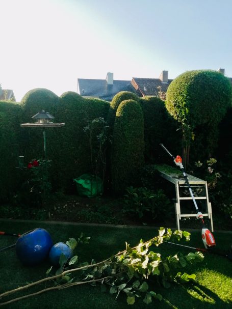 Hecke schneiden in Eriskirch am Bodenseer